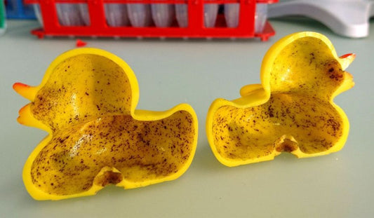 Mold Free Water Toys For Kids